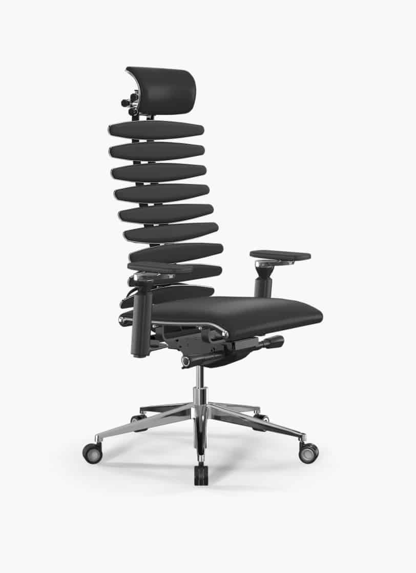 Ergolux-spine-s1